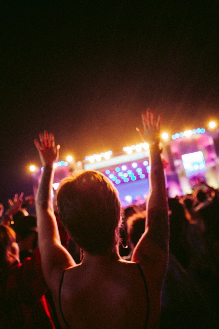 Vibrant night scene at a live concert with cheering crowd and bright stage lights.